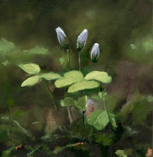 I Need a Moment to Deliberate I