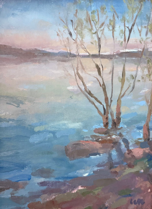 The search for light, then water