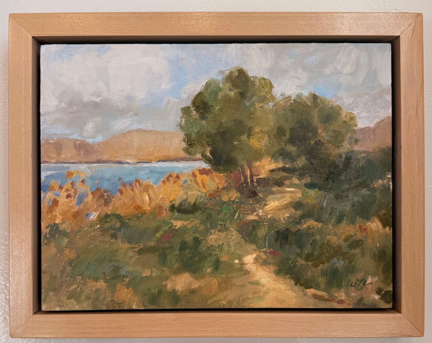 Vineyard shoreline on Utah Lake