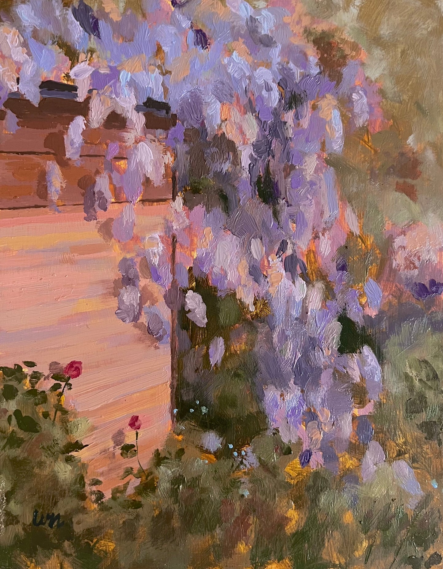 French Wisteria