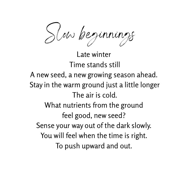 Slow beginnings print