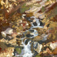 Fall at the creek print