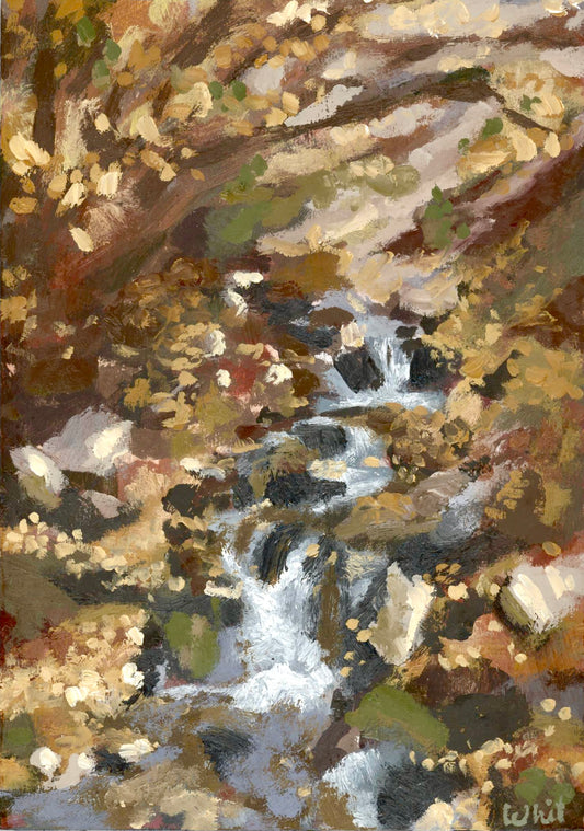 Fall at the creek print